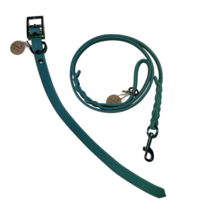 Set Halsband und Leine Rainbow Collection „Smaragd“