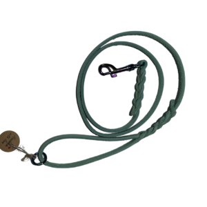 Leine mit Handschlaufe Rainbow Collection „Mint“