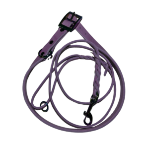 Set Halsband und Leine Rainbow Collection „Flieder“