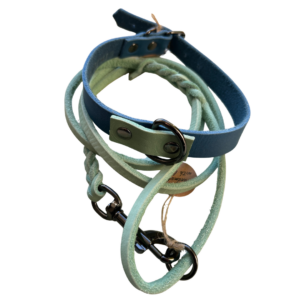 Set Halsband und Leine „Cool Ice“ – dunkelblau/mint & mint